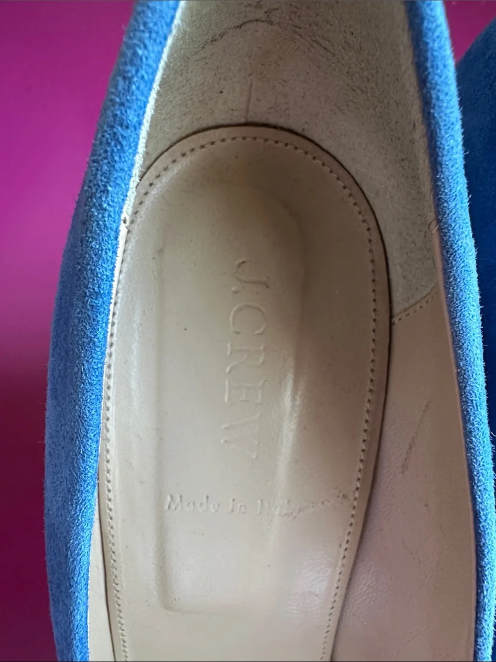 J. Crew Blue Suede Pointed Toe Pumps
